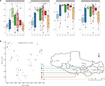 Deciphering the core seed endo-bacteriome of the highland barley in Tibet plateau